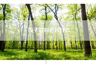 饺子的别名叫什么