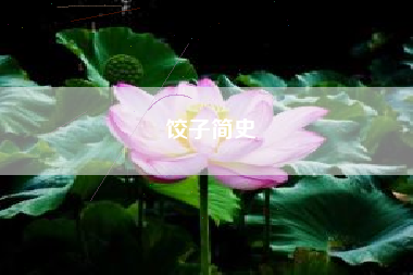 饺子简史