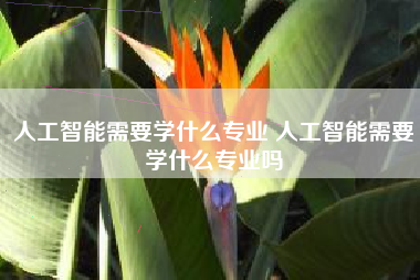 人工智能需要学什么专业 人工智能需要学什么专业吗