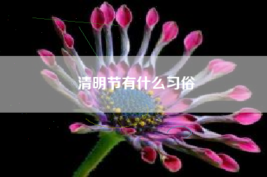 清明节有什么习俗