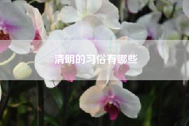 清明的习俗有哪些