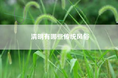 清明有哪些传统风俗