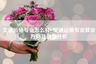 交通运输专业怎么样_交通运输专业就业方向及前景分析