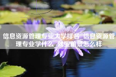 信息资源管理专业大学排名_信息资源管理专业学什么_就业前景怎么样