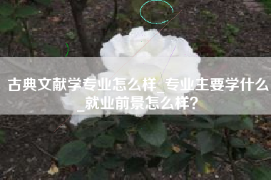 古典文献学专业怎么样_专业主要学什么_就业前景怎么样?
